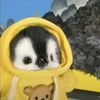 piweeww0