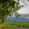 lovely.asuncion.a