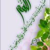 mohamed1376357
