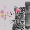 shiiqaleyy.25