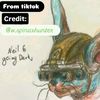 neilthejerboa