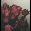 waspiya__afrin