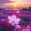 user7963200174323