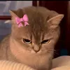hidingfrombae3