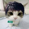 hola_we8