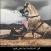 qatanbsgaa3