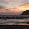 aleebhoo