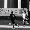 sassoroccioso1