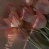 roaa.alhaleeq