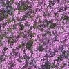 user581160192559