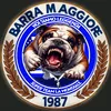 Noi Siamo Leggenda STLM 87