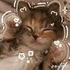 chippy._07