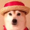 dogeluffy