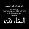 ahmedtagdi