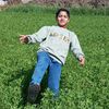 mohamedmady5349