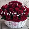 jamal.hasan887