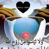 nora.hafede.903832