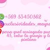 maira7616
