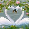 user87916612229040