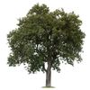 treesrus_