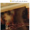 user4196867360192