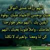 hoda.ragab8