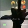 craziestindividual