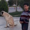 ahmetbaz_