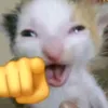 nose676792847