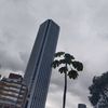 santimarin329