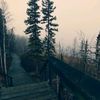 shane_2070