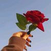 abdussalam3295