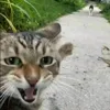 bichnng2