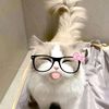 syifa_syaa8