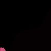 lillii_1