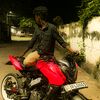 mr_bunny_260