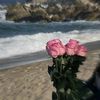 rrhh_23