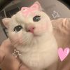 strawberry_dheee