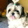 chikiching15