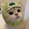 catstarman01