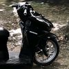 owner_banana1