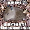 pioloi6