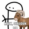 ini_tisaaa