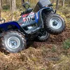 dreamridermx