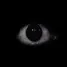 phobia.test0