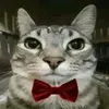 juanferquintero13