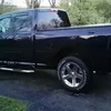 gator13167