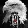 47mirza33