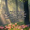 raneal41