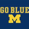 nico_goblue